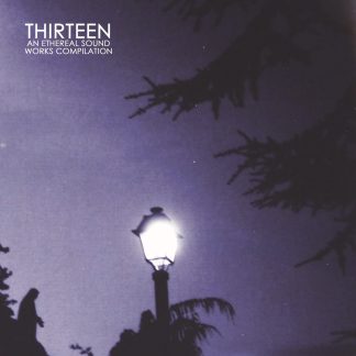 Various Artists - Thirteen