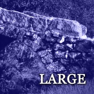 eswpct002 va - large