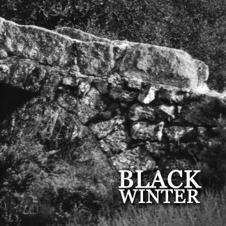 eswpct003 va - black winter